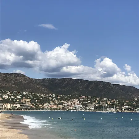L'orangeraie