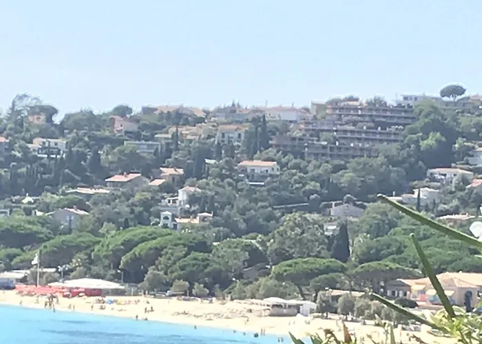 L'orangeraie 3*