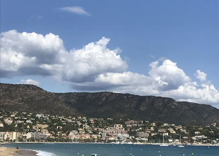 L'orangeraie