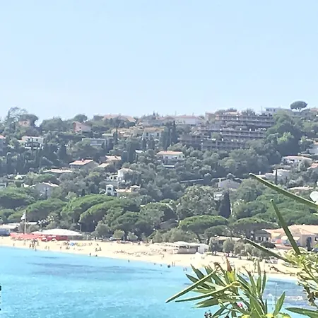 L'orangeraie 3*